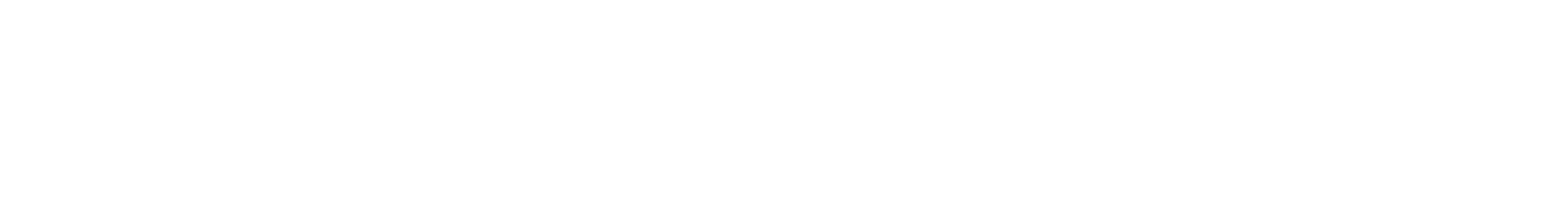 CSD Access logo in white
